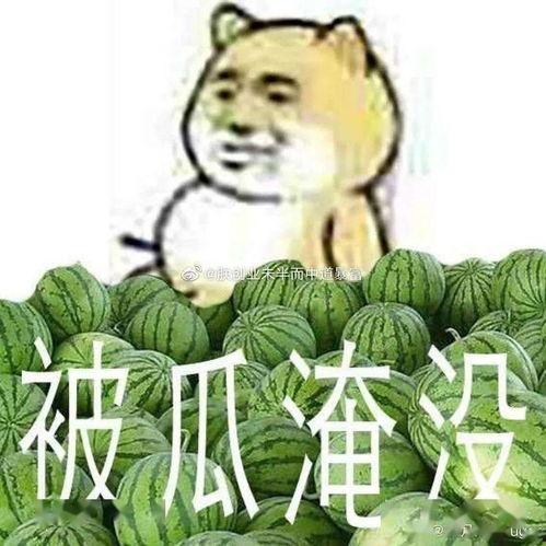 老公不在吃瓜,吃瓜群众狂欢时