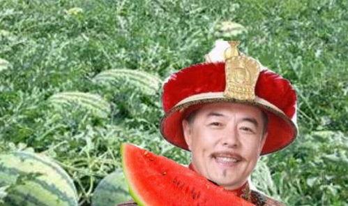 吃瓜爆棚,揭秘娱乐圈热点事件背后的真相