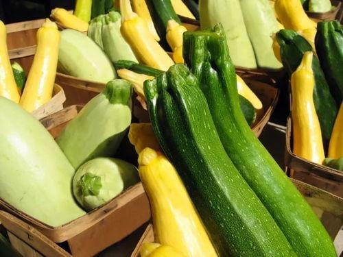 获嘉都吃啥瓜,探寻当地美食文化之旅