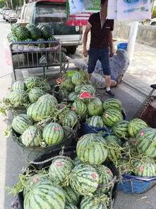 绍兴大汉吃瓜事件,一场网络热议的街头奇观