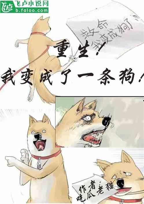 吃瓜吃到自己的小说,吃瓜吃到自己的奇幻之旅