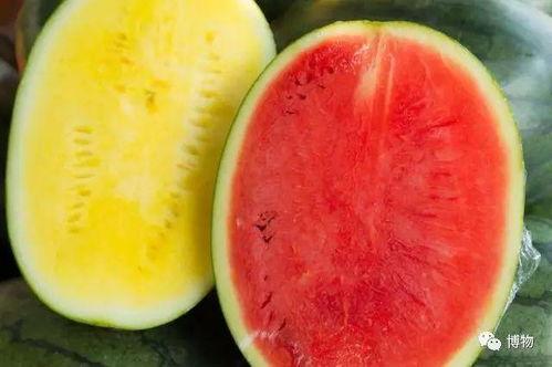 吃瓜网官网com,带你走进娱乐圈的幕后风云