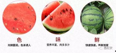 新农吃瓜视频,揭秘农村生活新风尚