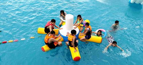 吃瓜小杨冲浪记,揭秘网络世界的精彩瞬间