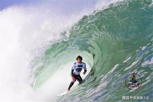 吃瓜小杨冲浪记,揭秘网络世界的精彩瞬间