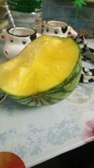 梦见吃黄瓤瓜,黄瓤瓜的神秘寓意解析