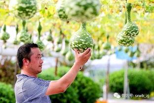 绍兴医院吃瓜,揭秘背后真相与网络舆论风暴