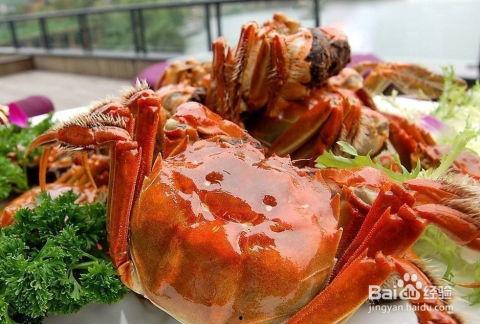 螃蟹吃高瓜吗,探究它们对高瓜的喜爱程度