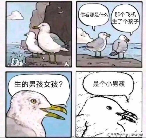 吃瓜的猹闻着瓜味就来了,吃瓜群众纷至沓来