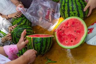 吃瓜视频组,带你领略网络娱乐新风尚