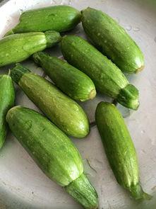 可以吃的瓜很小,甜蜜滋味无限