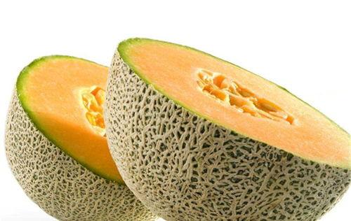 喝完鹿茸吃哈密瓜,哈密瓜助力养生之旅