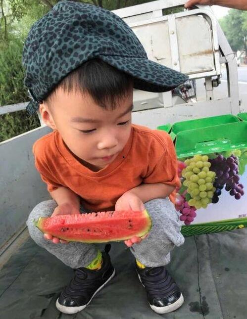 我要吃瓜今日吃瓜,揭秘娱乐圈最新热点事件