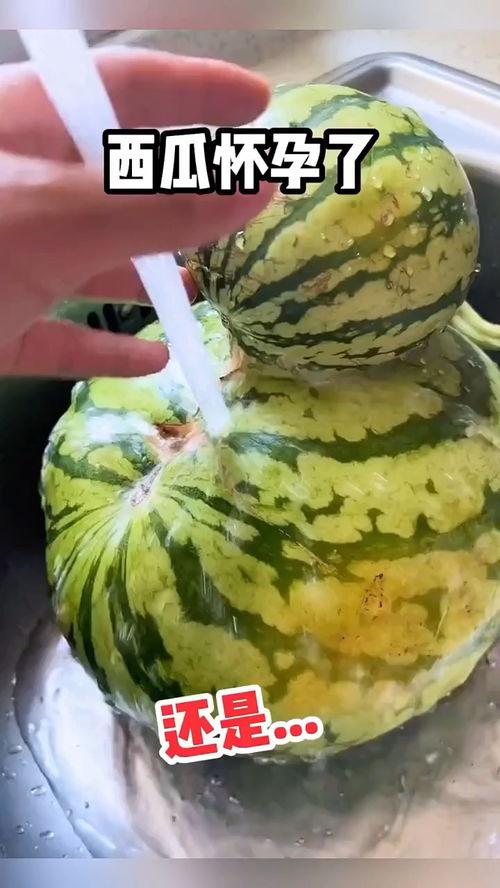 图文吃瓜视频,一场视觉盛宴与信息狂欢