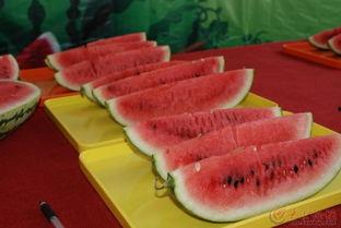 好吃街兴化吃瓜,瓜果飘香，尽享夏日美味之旅