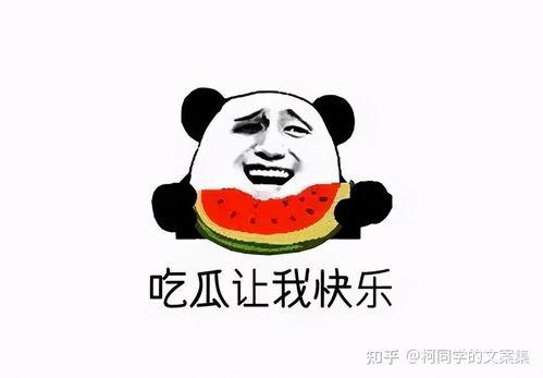 视频吃瓜文案搞笑短句