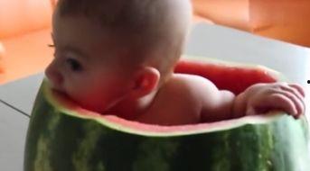 宝贝吃瓜视频,揭秘娱乐圈幕后真相