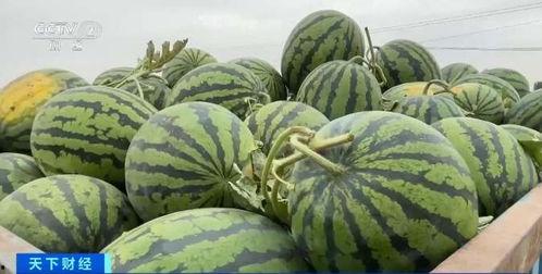 亿丰吃瓜,揭秘娱乐圈幕后风云