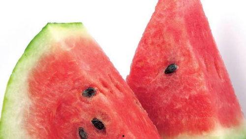 带你吃瓜做动画,动画中的趣味生活片段