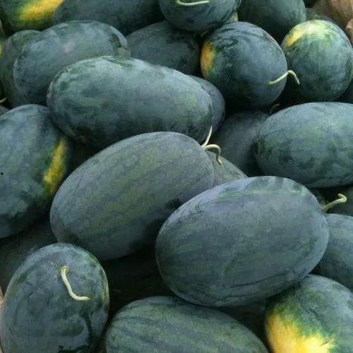 吃瓜赏花的图片,一场视觉盛宴的夏日赏花吃瓜之旅