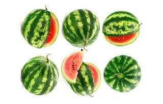 景贤吃瓜,揭秘娱乐圈幕后故事