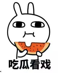 吃瓜都费劲,轻松了解娱乐圈风云变幻