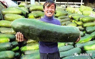 教科书般吃瓜,揭秘娱乐圈幕后真相