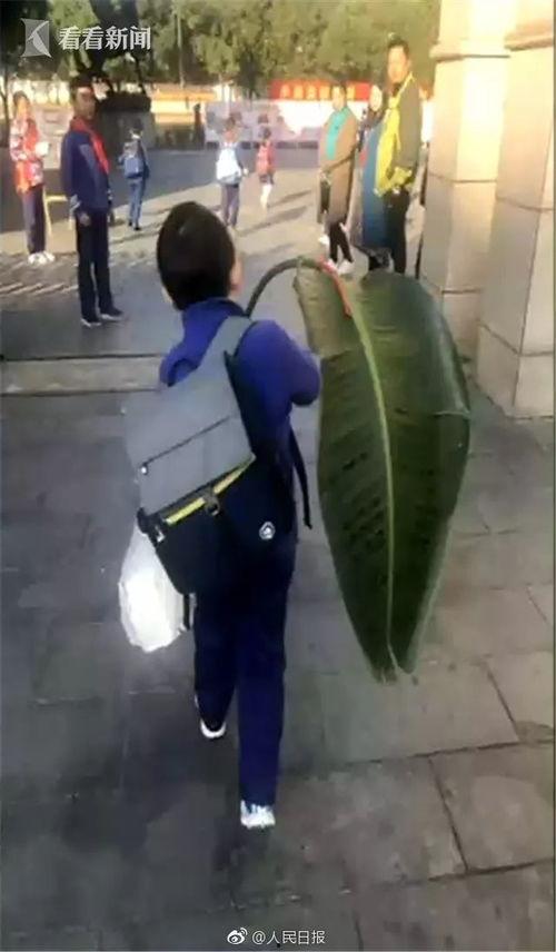 吃瓜少年小黄,揭秘娱乐圈背后的那些事儿