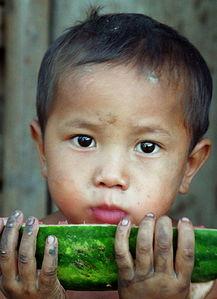 吃瓜少年小黄,揭秘娱乐圈背后的那些事儿