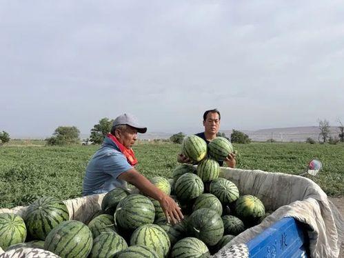 吕梁最新吃瓜,揭秘神秘事件背后的真相