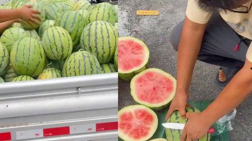 梦见嫂子吃葱花生瓜