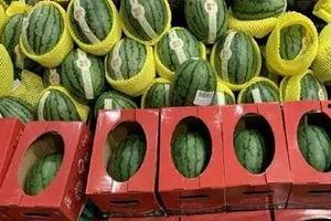 滨州大瓜吃瓜视频,揭秘吃瓜视频背后的热点事件