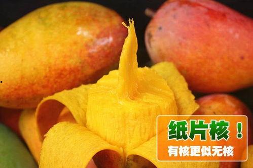 top.5吃瓜,五大热门吃瓜事件深度解析