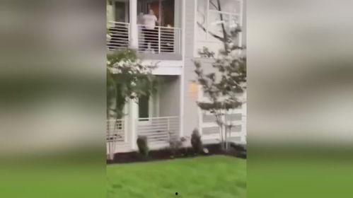 放飞自我系列吃瓜,吃瓜群众狂欢，揭秘娱乐圈幕后风云