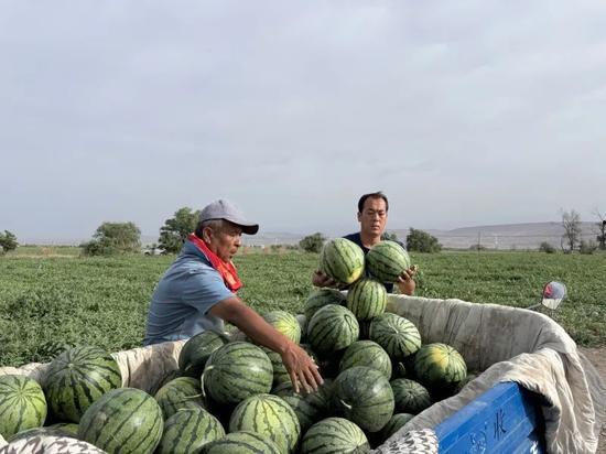 富顺吃瓜网,揭秘富顺本土新鲜趣事，带你领略地方特色风情