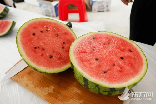 上海的吃瓜文化,揭秘沪上独特的社交文化现象