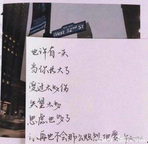 追星吃瓜好累文案短句,揭秘娱乐圈背后的辛酸与无奈