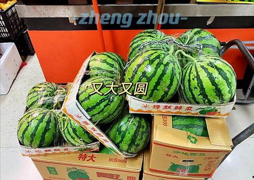 郑州摩友吃瓜,一场“吃瓜”引发的骑行圈热议