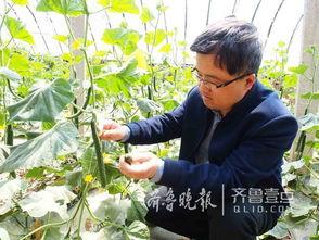 看花和吃瓜朗读,一场别开生面的朗读盛宴