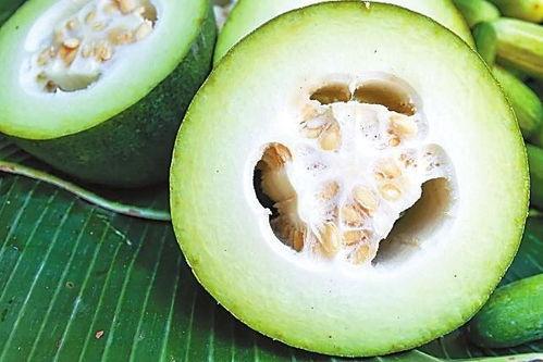 罗杰夫吃瓜,揭秘娱乐圈幕后故事