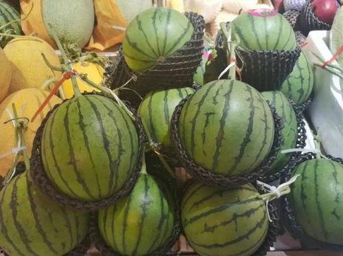 罗杰夫吃瓜,揭秘娱乐圈幕后故事