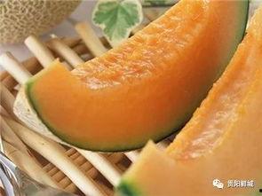 吃哈密瓜吃到拉链