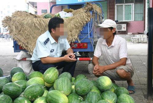 肥乡县城吃瓜,清凉一夏，尽享瓜果飘香