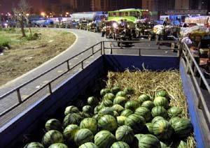 肥乡县城吃瓜,清凉一夏，尽享瓜果飘香