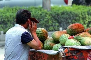 励志吃瓜的瓜农,吃瓜也能成就人生传奇