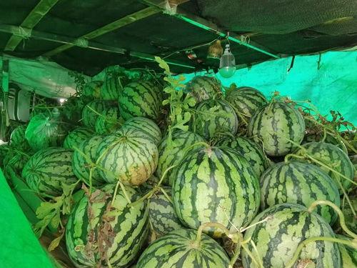 美业人吃瓜,一场关于“吃瓜”的狂欢盛宴