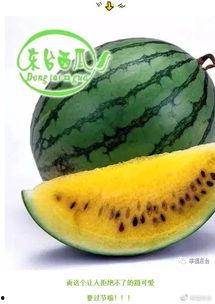 最全吃瓜集合地,一网打尽娱乐圈热点事件