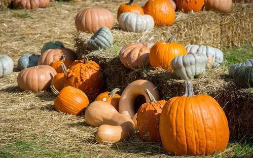 大众一个如何理性吃瓜,如何在大众舆论中保持清醒