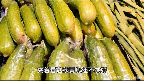 唐山人吃瓜,探寻地方美食的独特魅力