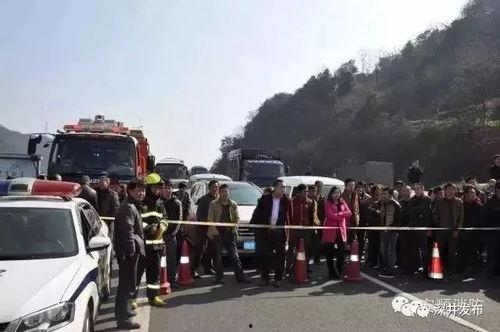 吃瓜群众挂旗子视频,展现爱国情怀与创意无限